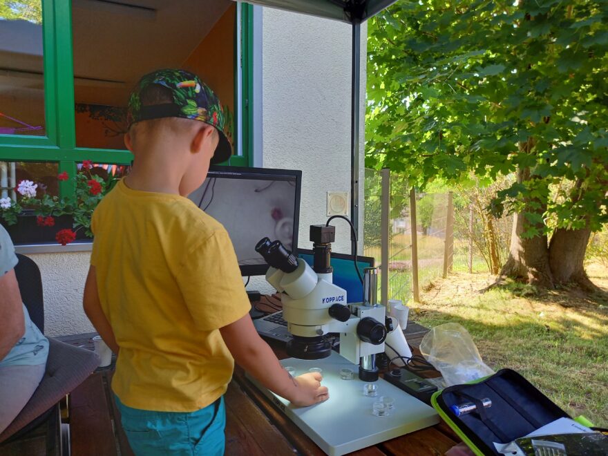 Kindergartenkind steht am Mikroskop